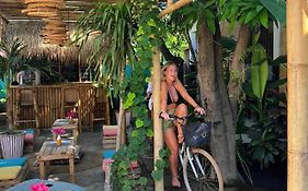 Mango Tree House
